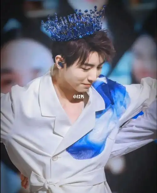 眼看看你戴的皇冠95算是弥补了一点点无边界演唱会的遗憾吧#王俊凯