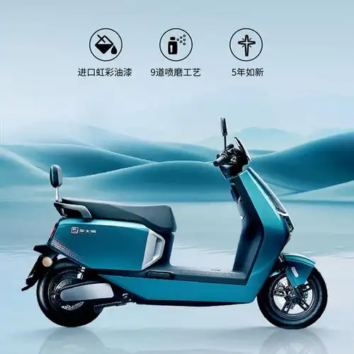 新大洲派乐pallas600电动摩托车成人代步智能解锁高颜值电动轻便摩托