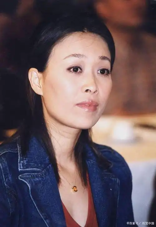 没有那英的话,田震就是内地一姐了吗?