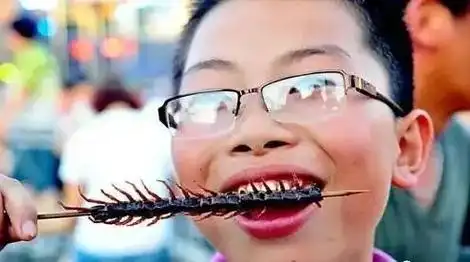 想在家里 diy 的兄弟得小心,别没煮熟蜈蚣反而被它咬一口,肿起来能痛