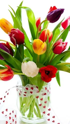 壁纸 色彩艳丽的郁金香,花瓶,花束,白色背景 2880x1800 hd 高清壁纸