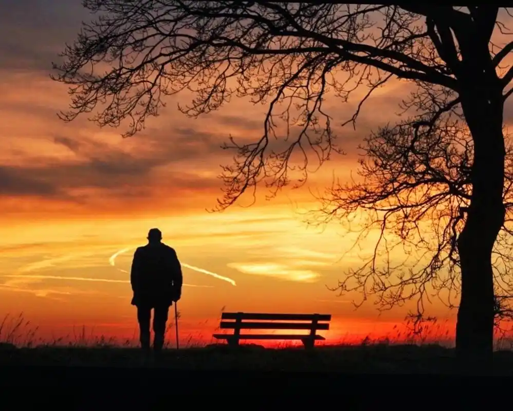 他的背影❤️夕阳红 - 灵芝月亮 - 图虫