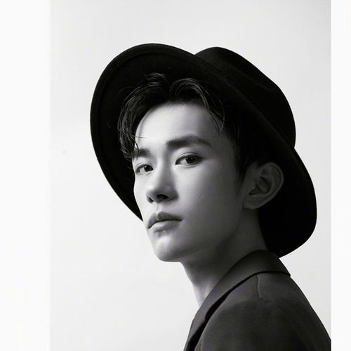 秋冬毛呢帽子女明星易烊千玺同款爵士帽子英伦百搭绅士大檐礼帽男