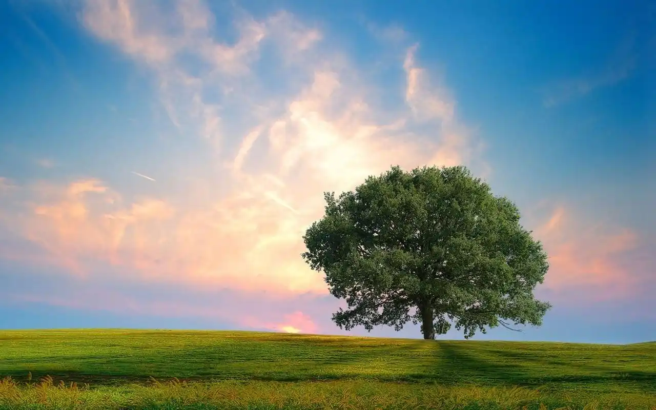 壮阔自然风光高清桌面壁纸高清大图预览1440x900_风景壁纸下载_美桌网