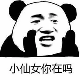 小仙女你在吗?熊猫头表情包