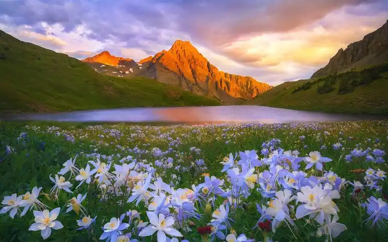 花,湖,山,云,太阳 桌布 - 1440x900