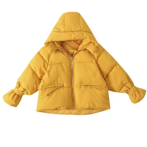 chic冬季外套女羽绒棉衣服短款2018新款韩版面包服ins小棉袄子潮