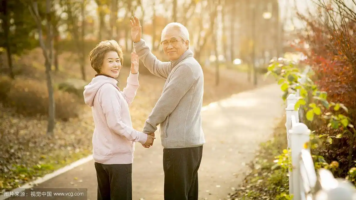 老年夫妇在公园里牵手问候的照片