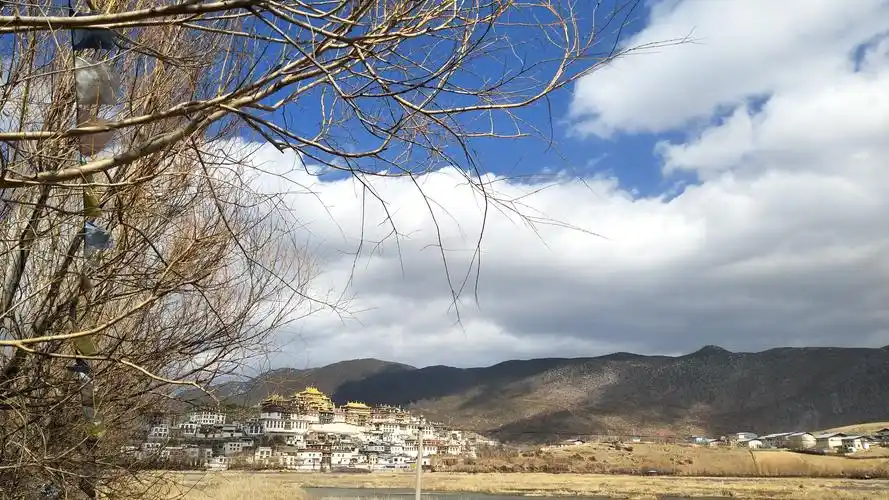 萧条却又不失生机的纳帕海 到处都是黑颈鹤乌鸦牛羊马猪鸭 24k纯金又