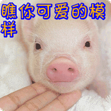 瞧你可爱的模样表情包