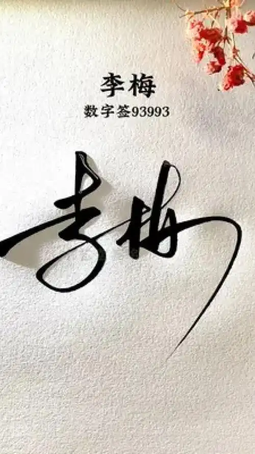 简单又漂亮的连笔签名 李梅,数字签93993,这样你也可以很快学会,还有