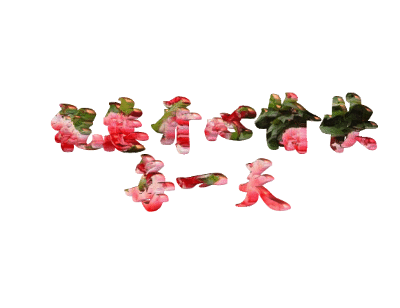 【心灵鸡汤】读一读,悟一悟,真好!