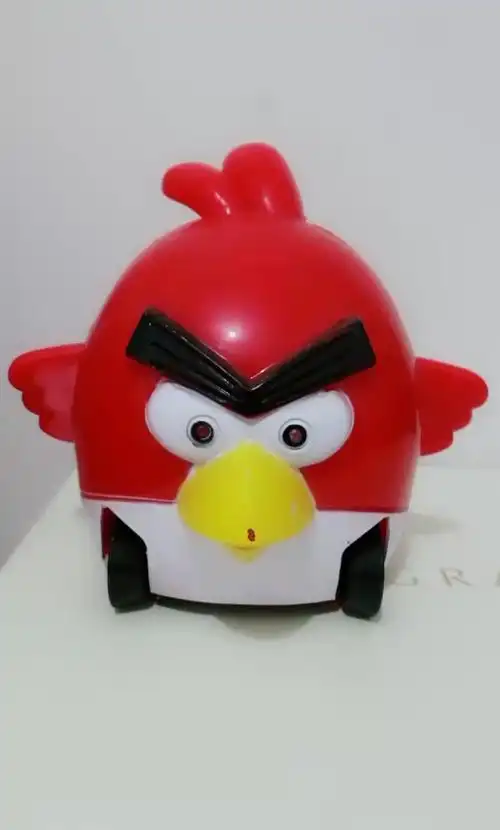 玩具好玩的玩具#世界上最聪明的鸟,永不落地