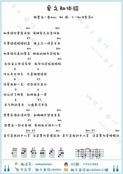 爱之初体验尤克里里谱_张震岳