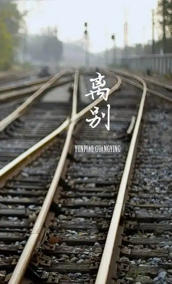 每一次的别离,都让人心如刀割. - 抖音