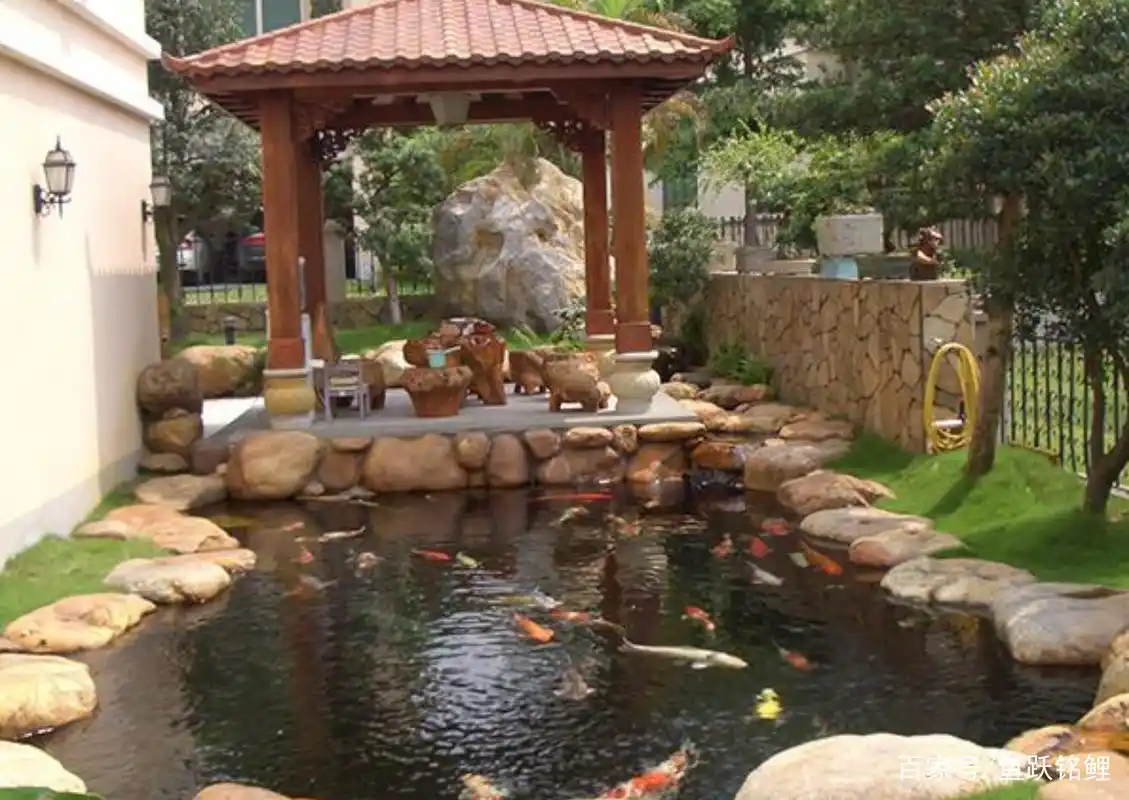 从小白到专家,关于庭院假山鱼池设计的必了解的方面