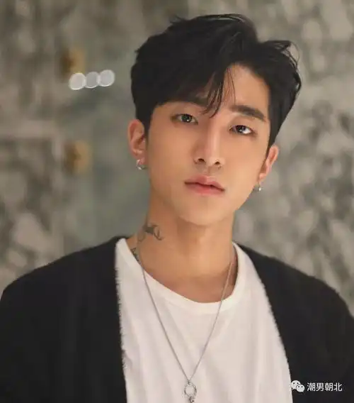 第2款:偏分发型