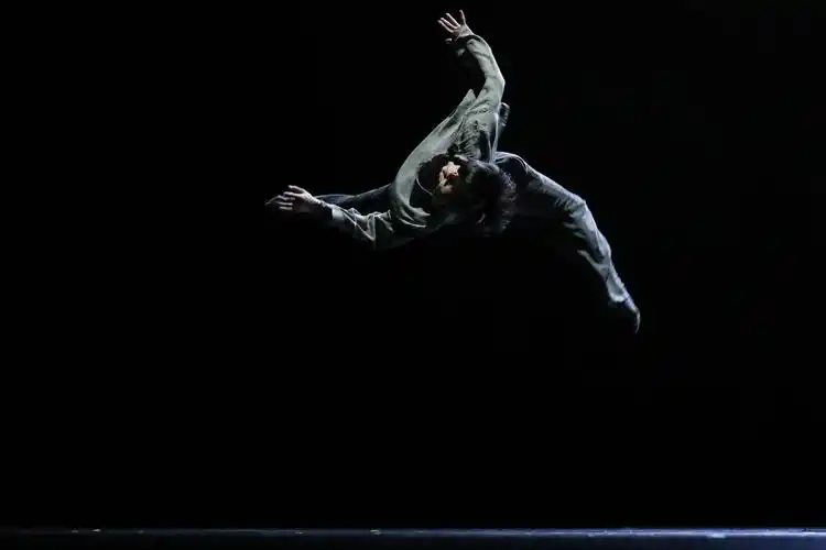 第十二届中国舞蹈荷花奖当代舞现代舞评奖活动充分展现舞蹈艺术繁荣