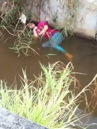 吓人,这女子竟躺水沟乘凉 惊动警方