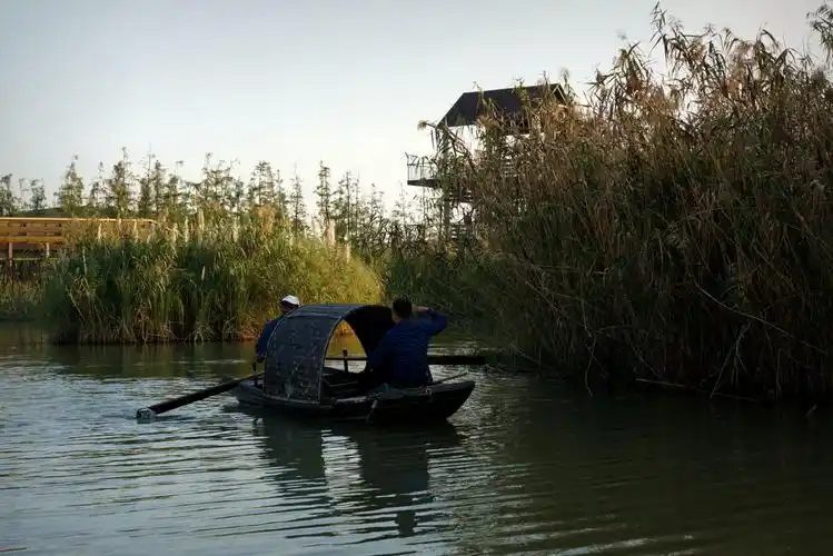 乌篷船,一袭烟雨枕江南