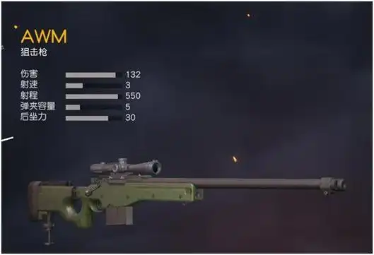 荒野行动世界前五awm狙击枪到底强还是不强请看