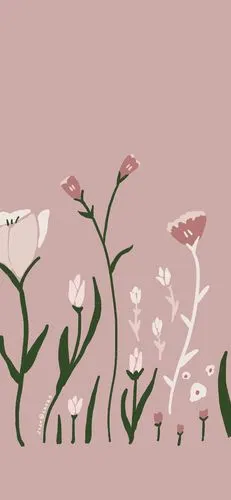 见logo 渐变纯色/手绘动物/聊天背景/小清新ins/花朵插画/锁屏壁纸