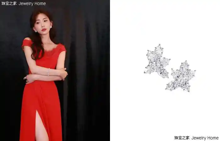 好喜欢海瑞温斯顿winstoncluster带来的冬青花环