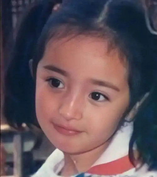 杨幂的出道历程 杨幂的上位史和她的绯闻男友们(5)