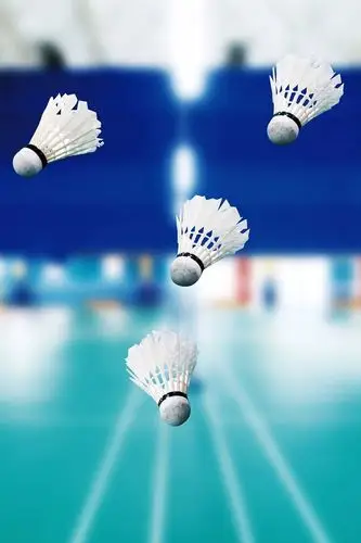 2019寒假假期羽毛球培训班招生