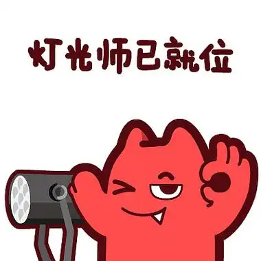 【魔鬼猫表情-灯光师已就位】#半身 摄影灯 打光 坏笑 ok 好的 ip