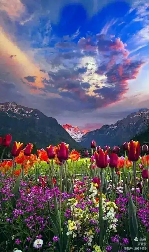 张张绝美风景美图,手机壁纸和屏保,微信头像,qq头像