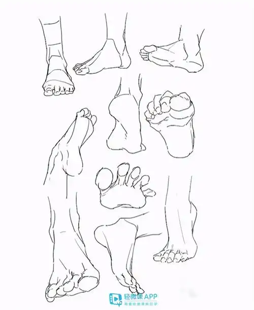 跟手部的结构还是有很多相似的地方的,今天我们就来说一下脚部的画法