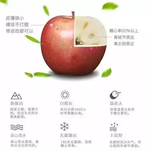 哈喽我就是生长在2600米高原够野蛮够甜传说中的糖心丑苹果咬我一口甜