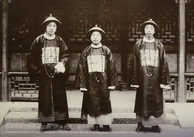 袁世凯称帝真的是因为大儿子想当皇帝吗