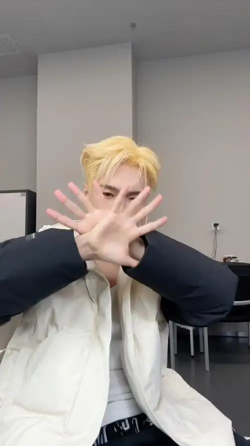 张艺兴手势舞像开了3倍速