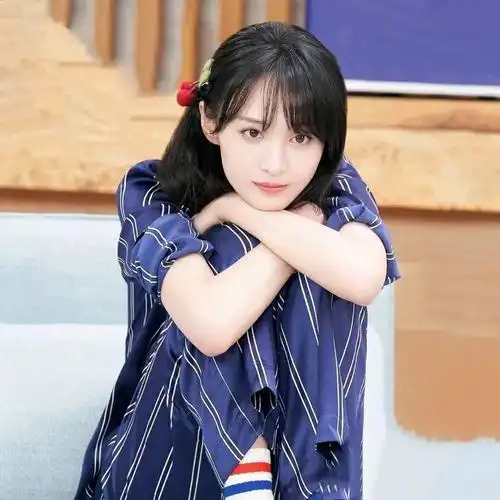 穷尽财产调查措施法院认定郑爽无财产可供执行