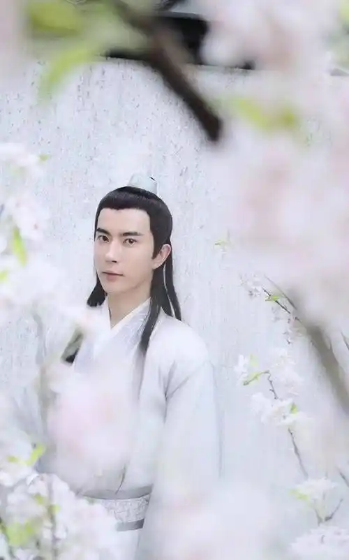 白衣胜雪于朦胧,不愧为四海八荒第一美男,清秀俊逸,超凡脱俗_气质