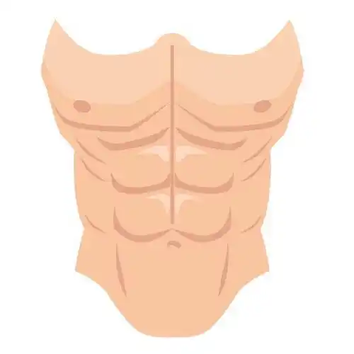 腹肌1 - nicepsd 优质设计素材下载站