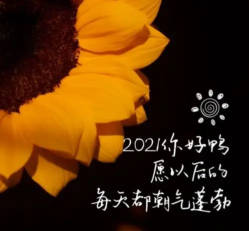 小清新摄影向日葵2021你好朋友圈封面