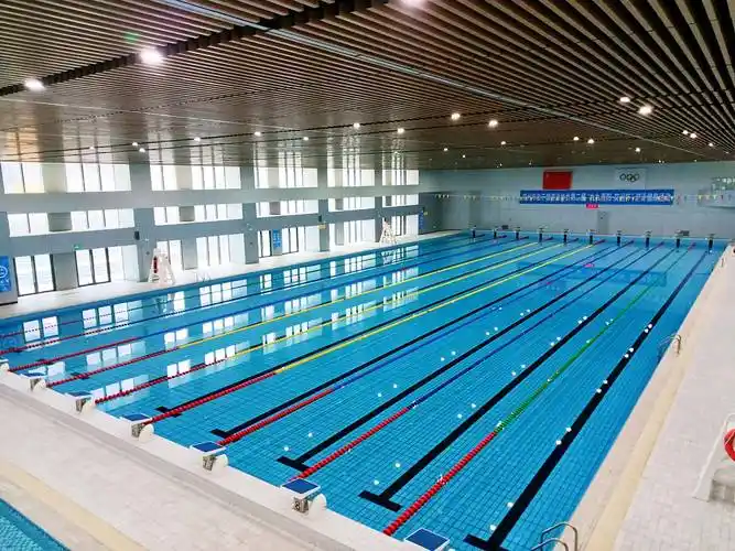 游泳训练健身又多了个好去处 郑州新发展向上游泳馆揭牌