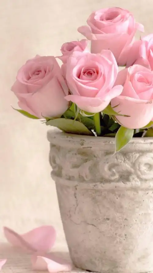 1000_1778竖版 竖屏