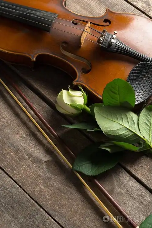 美丽的小提琴与玫瑰在木质背景