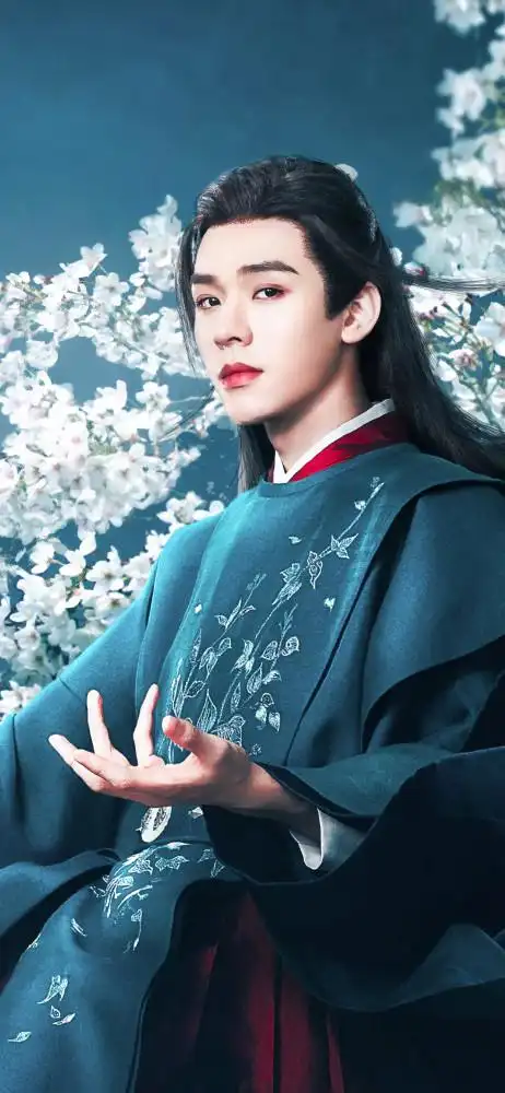 手机桌面壁纸山河令温客行