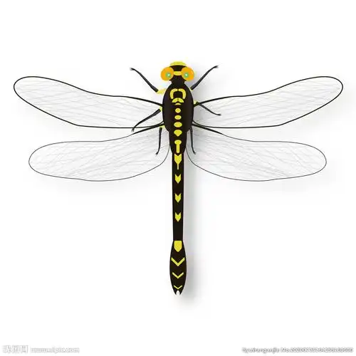 蜻蜓设计图__昆虫_生物世界_设计图库_昵图网nipic.com