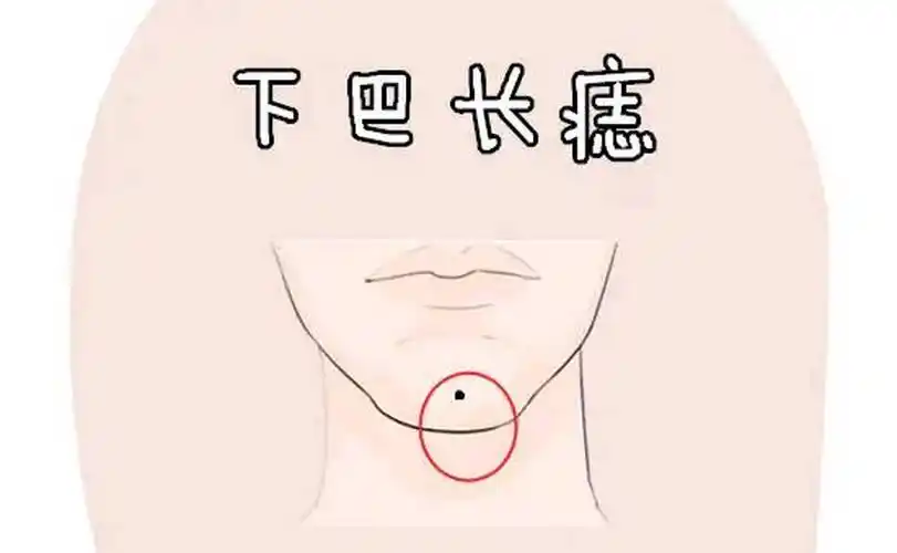 女性左下巴有颗痣是(女人左下巴有颗痣好还是不好)