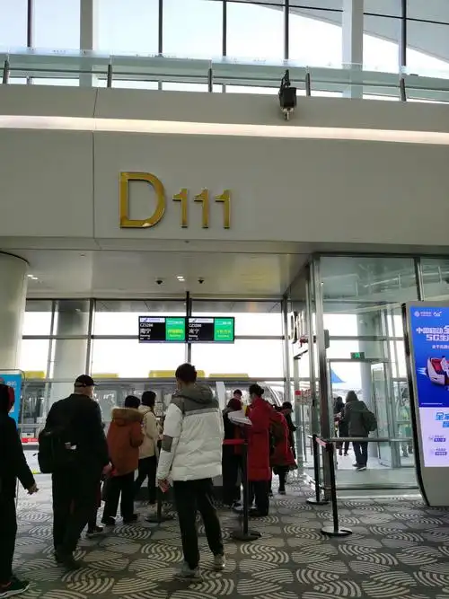 大兴机场d111登机口