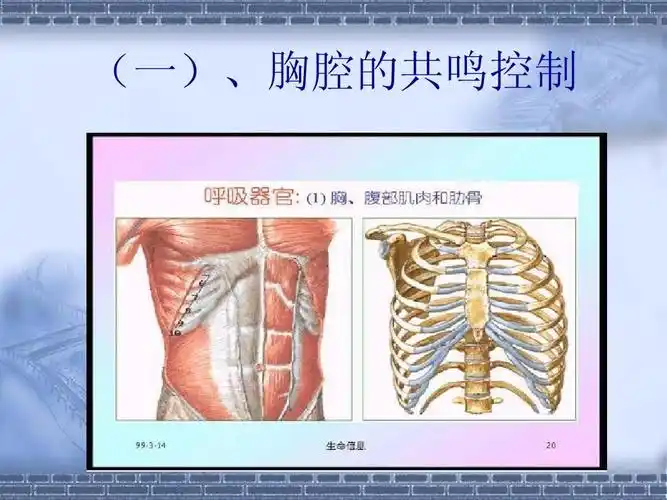 (一),胸腔的共鸣控制