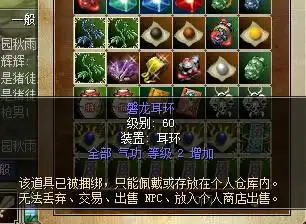 热血江湖q2耳环叫什么名?