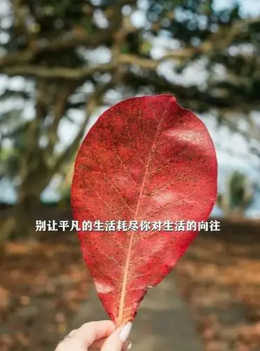 2020扎心的早安说说句子句句触动心灵