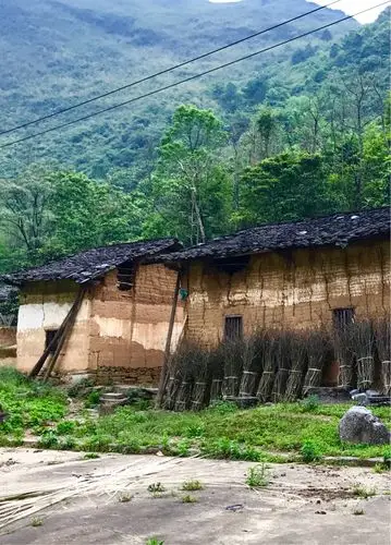 阳春四月寻花,山中缈缈人家